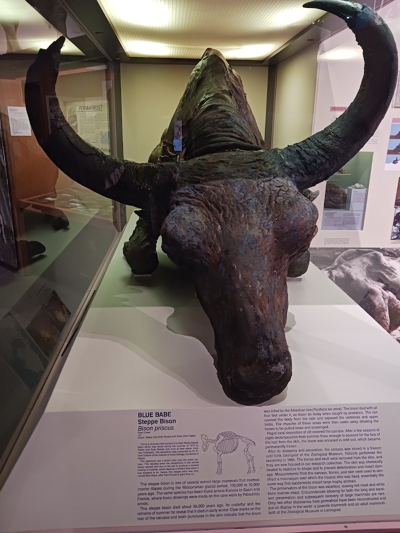 Tanana Lower Yukon Memorial funeral home in Tanana, AK