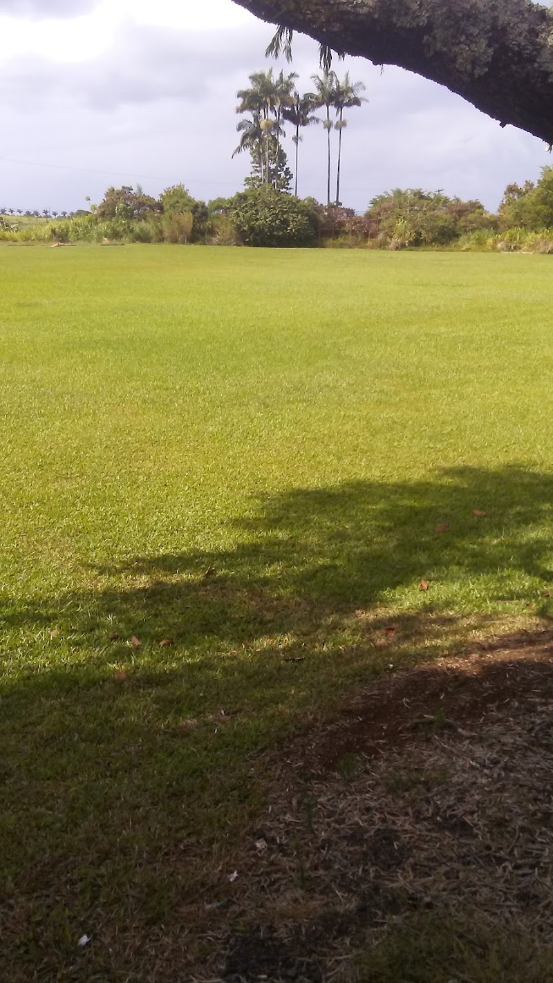 Pepeekeo Memorial funeral home in Pepeekeo, HI