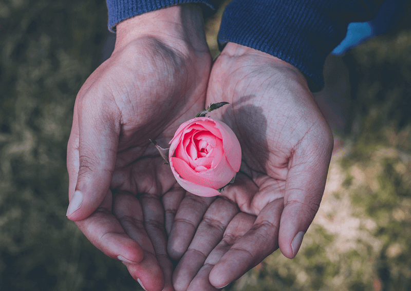 Westside Cremation & Burial Services funeral home in Portland, OR