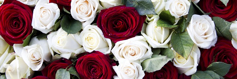 Warren & Meadows Funeral Home funeral home in Many, LA