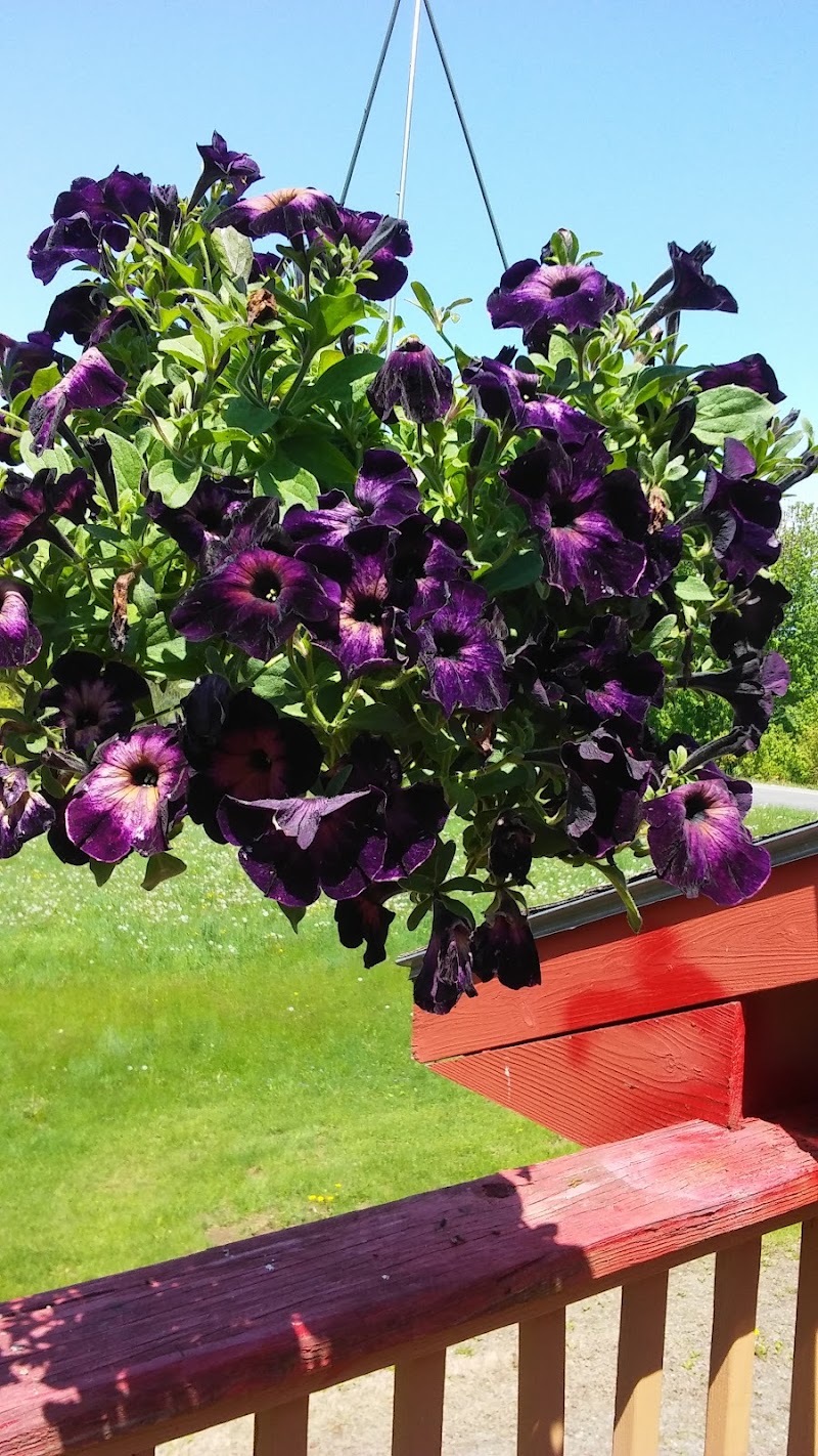 Farmington Funeral Services funeral home in Farmington, ME