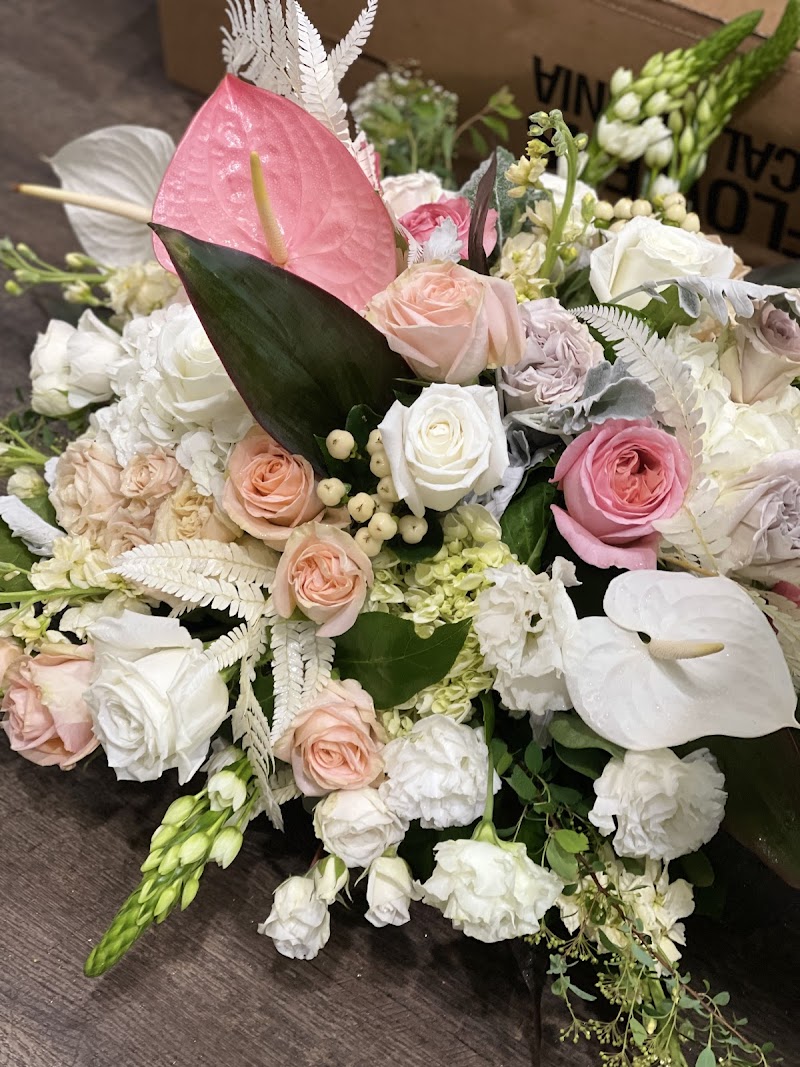 Allen Family Funeral Options funeral home in Allen, TX