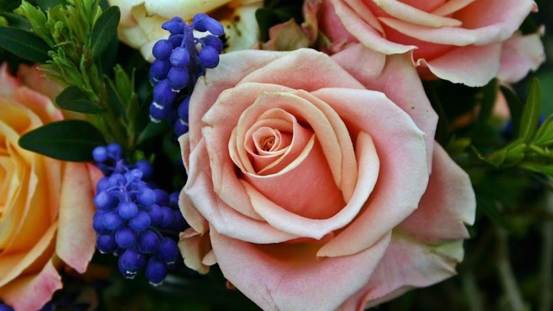 Leek & Sons Funeral Home funeral home in Urbana, IL