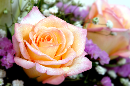 Bristol Mortuary funeral home in Bristol, VT