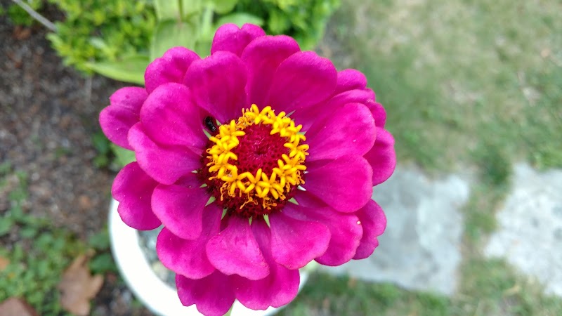 Jamestown Memorial Services funeral home in Jamestown, RI