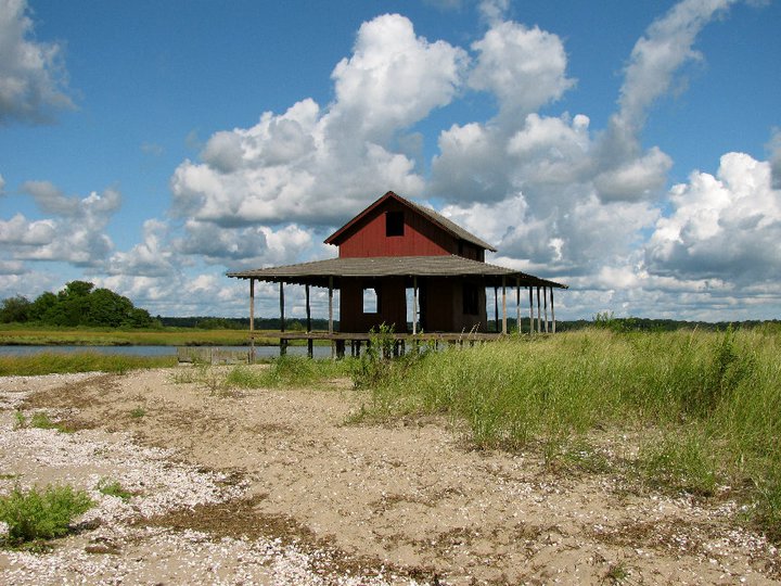 Shoreline Cremation funeral home in Old Saybrook, CT