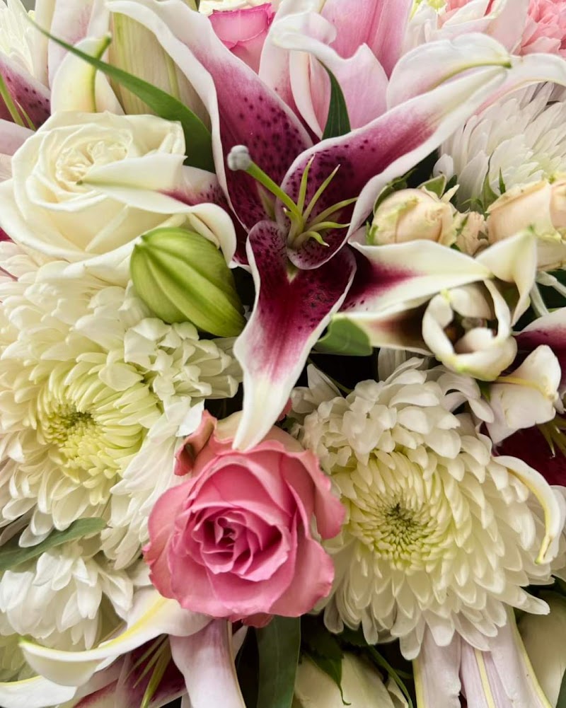 Nelson Cremation Services funeral home in York, NE