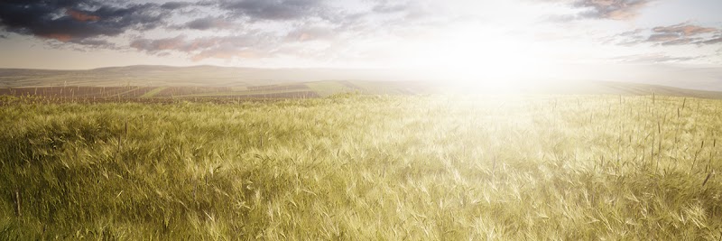 R.E. Rogers Funeral Home funeral home in Pikeville, KY