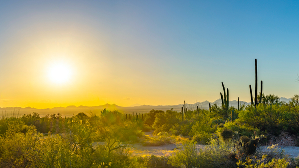 Desert Rose Heather Cremation & Burial funeral home in Tucson, AZ