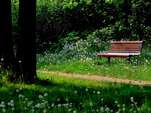 Ellinger-Kunz Funeral Home funeral home in Springfield, IL