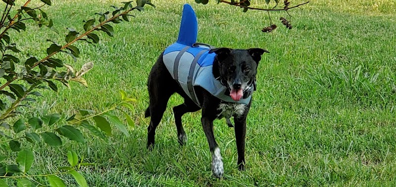 Shaw Funeral Home funeral home in Woodward, OK