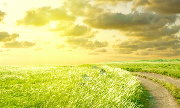 Dusckas-Martin Funeral Home funeral home in Erie, PA