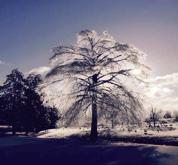 Memorial Funeral Home funeral home in Columbia, MO