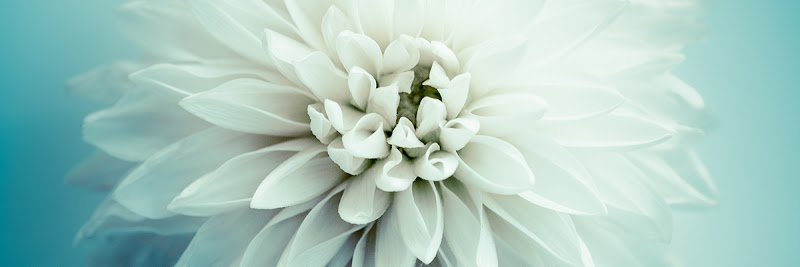 MJR Friendly Service Funeral Home funeral home in Gonzales, LA