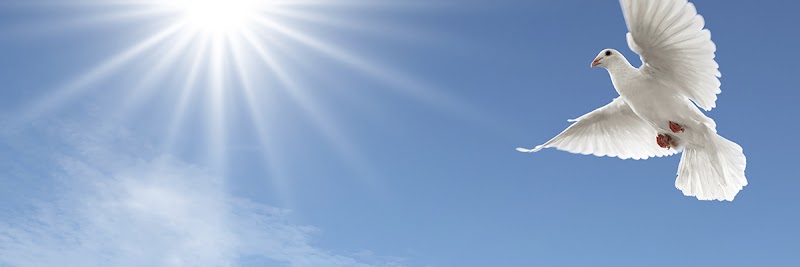 Kenosha Funeral Services & Crematory funeral home in Kenosha, WI